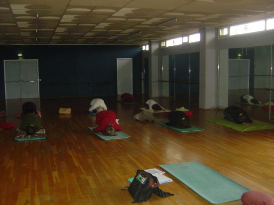 Salle de yoga (Belle Isle) : posture du Foetus