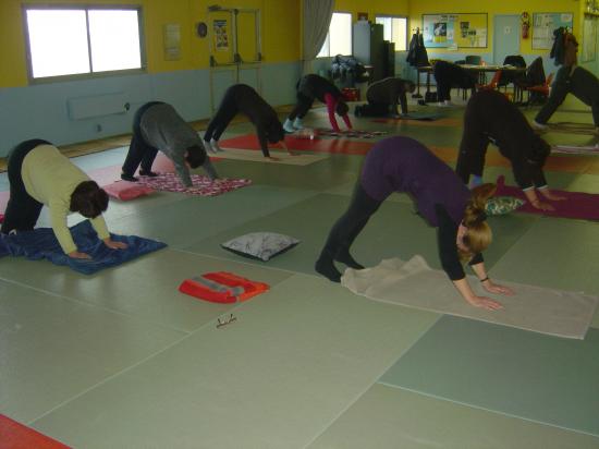 Salle de yoga à ORSENNES : posture chien tête en bas ou le marsouin